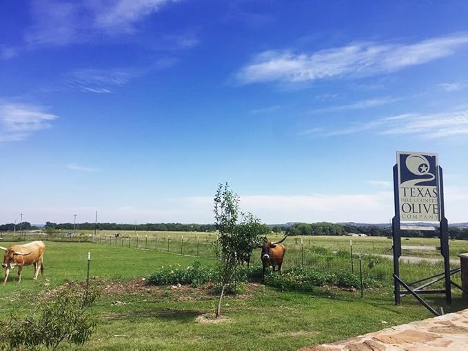 Black Pepper Garlic Infused Olive Oil - Cold Pressed Gourmet EVOO Olive Oil - Great for Dressing