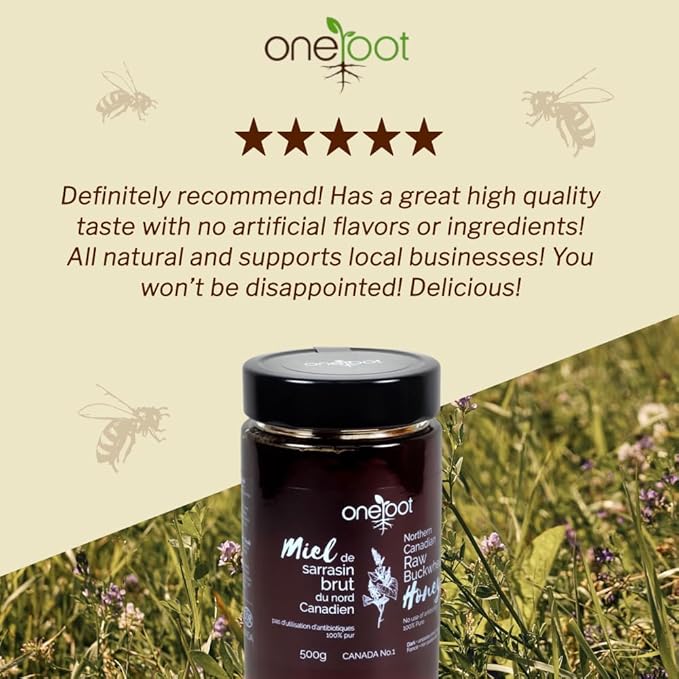 OneRoot Raw Buckwheat Honey - 500g/17.6oz, Unheated, Unfiltered and Unprocessed Natural Dark Honey