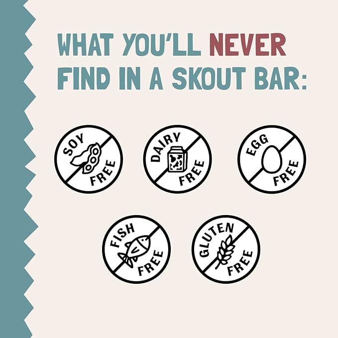 Skout Organic Dessert Inspired Kids Snack Bar Variety Pack (18 Pack) | Organic Kids Snack Bars |