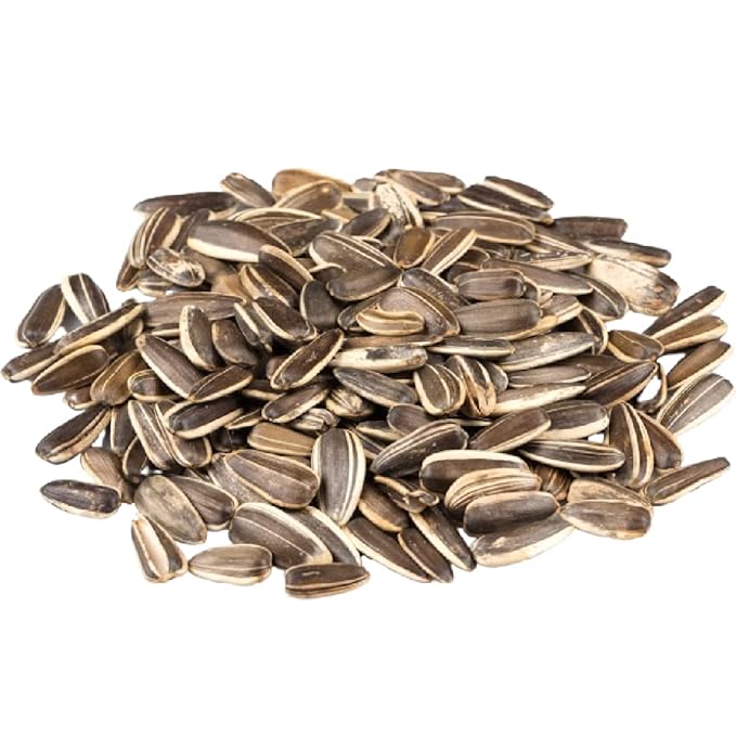 Jumbo Lightly Sea Salted Sunflower Seeds by Gerbs - 2 LBS. - Top 14 Food Allergen Free & Non GMO