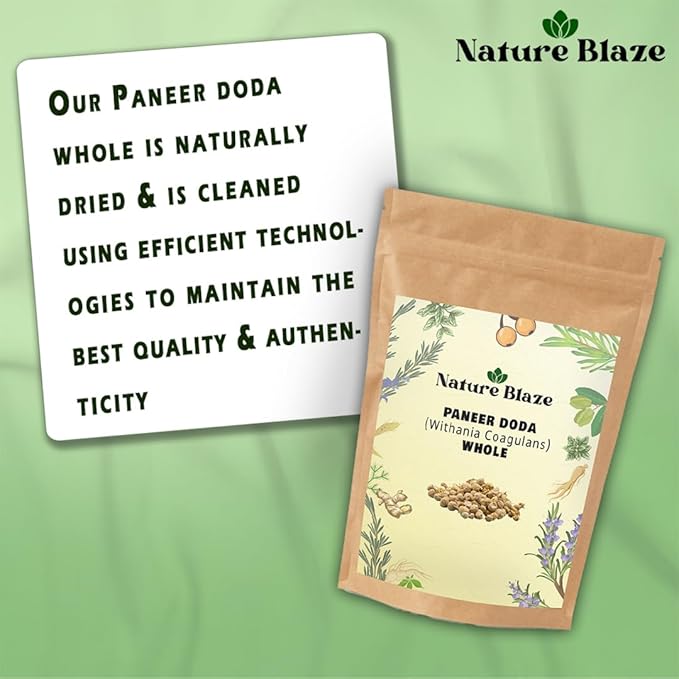 Nature Blaze Ayurveda Paneer Phool | Paneer Doda/DODI | Withania Coagulans Whole 4 Oz (114Gm /