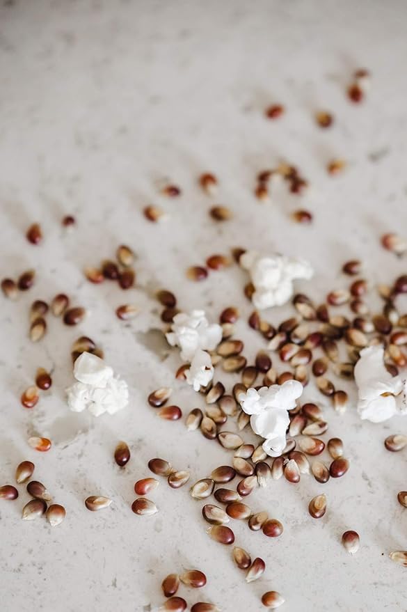Amish Country Popcorn | 25 lbs Bag | Purple Popcorn Kernels | Old Fashioned, Non-GMO and Gluten