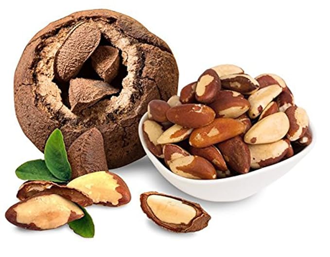 I’m A Nut Brazil Nuts, Raw, 16 oz (1 lb) | Distinct and Superior to Natrual | No PPO | Non GMO |