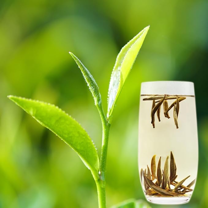 LWXLJMJZC-2.8oz/80g Silver Needle White Tea | Chinese Silver Tips Loose Leaf Tea | Yunnan Yin Zhen