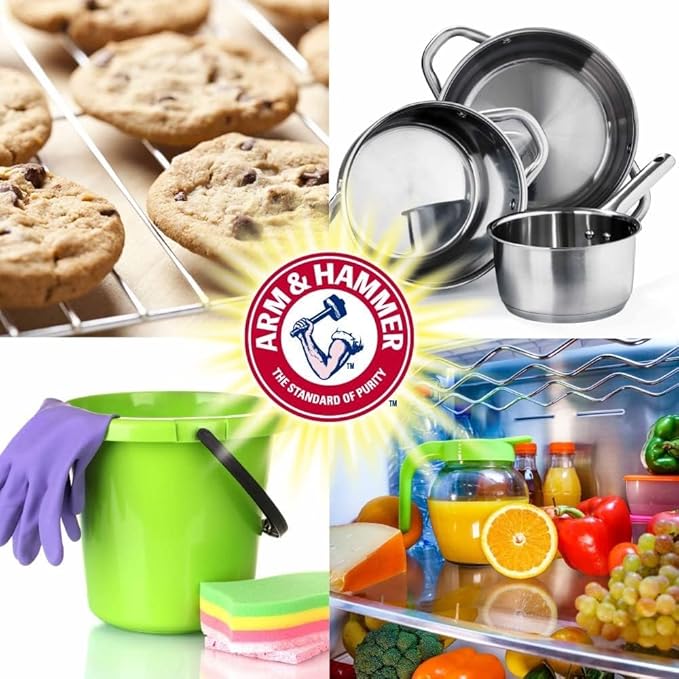 Arm & Hammer 33200-84104 Baking Soda, 16 oz (Pack of 24)