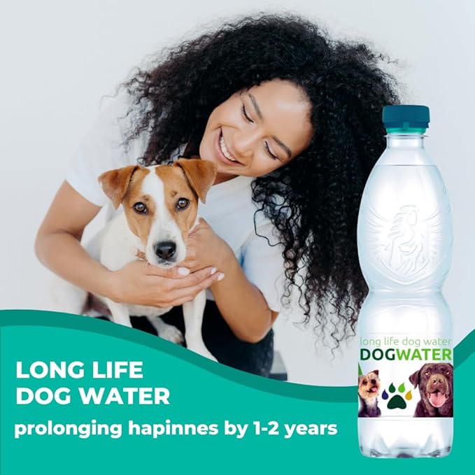 Daily Spring Canine Water, pH-Balanced Water for Dogs, Helps with Electrolytes for Dogs & Improve