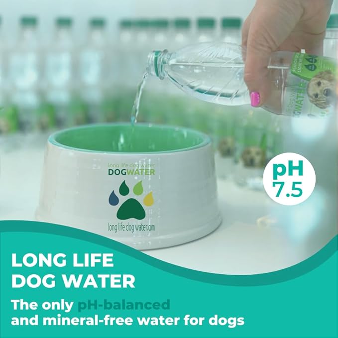 Daily Spring Canine Water, pH-Balanced Water for Dogs, Helps with Electrolytes for Dogs & Improve