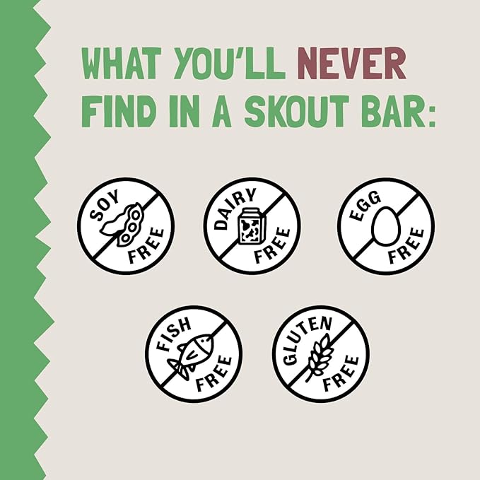 Skout Organic Apple Pie Kids Snack Bars (18 Pack) | Organic Kids Snack Bars | School Snacks & Lunch