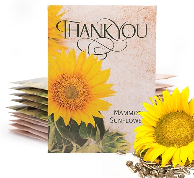 Bentley Thank You Packet - Sunflower Seeds - Pack of 25 - Perfect Eco-Friendly Thank You Gift - Non