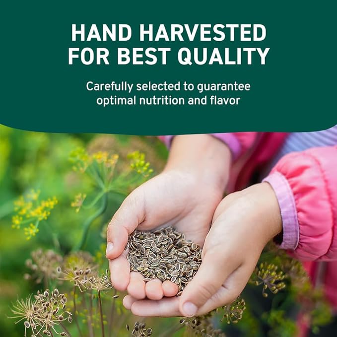 HANDPICK Dill Seeds (397g/14oz) Non GMO, Gluten Free, 100% Raw, Sourced from India, For Cooking