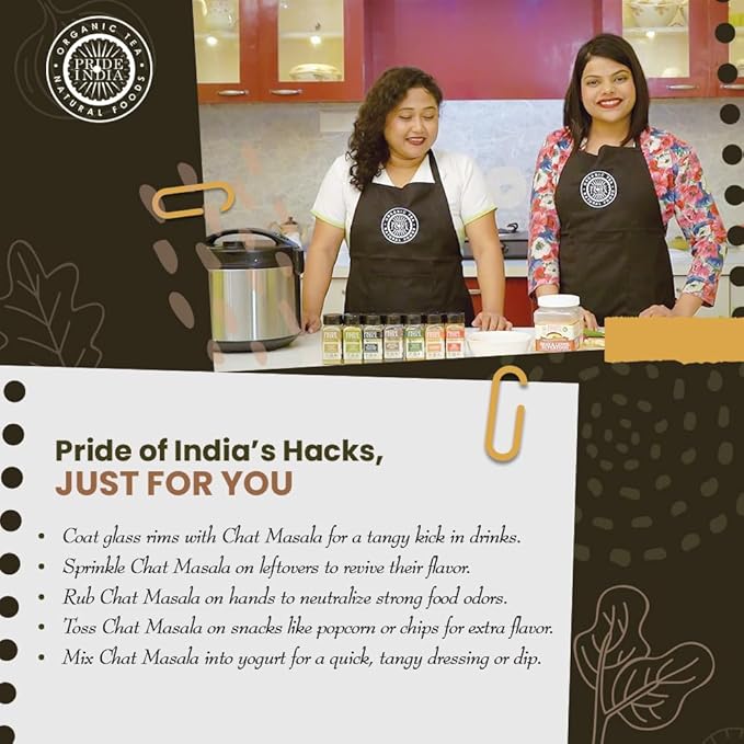 Pride of India – Indian Chat Masala Seasoning Spice – Ideal for Savory Dishes – Perfect Seasoning