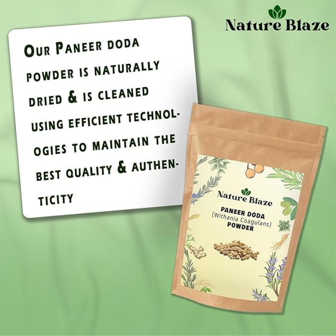Nature Blaze Ayurveda Paneer Phool | Paneer Doda/DODI | Withania Coagulans Powder 17.6 Oz (500Gm /