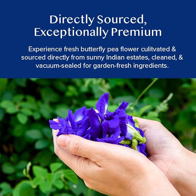 VAHDAM, Butterfly Pea Flower Tea (1.76oz) 100+ Cups | Delicate & Earthy | Vacuum Sealed for
