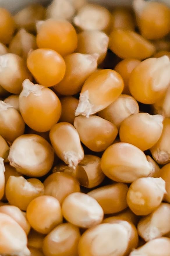 Amish Country Popcorn | 6 lb Bag | Mushroom Popcorn Kernels | Old Fashioned, Non-GMO and Gluten