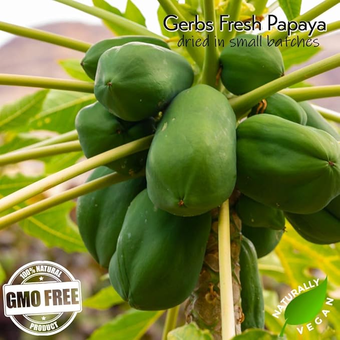 Gerbs Lightly Sweetened Dried Papaya Cubes 2 lbs. | Unsulfured, No Additives, Resealable Bag |