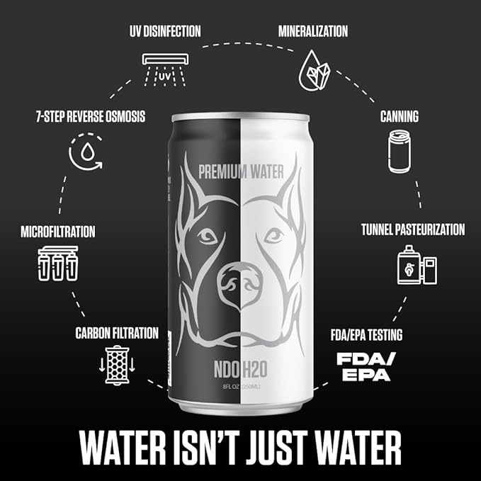 NDO H2O Premium Alkaline Water Case - 24 Pack (8.4 fl oz, Still) | Reverse Osmosis Purified Canned
