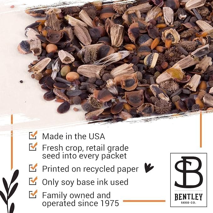 Bentley Seed Co. | Earth Day Planet Pollinator Flowers | Illustrated Bee Butterfly Flower Seed