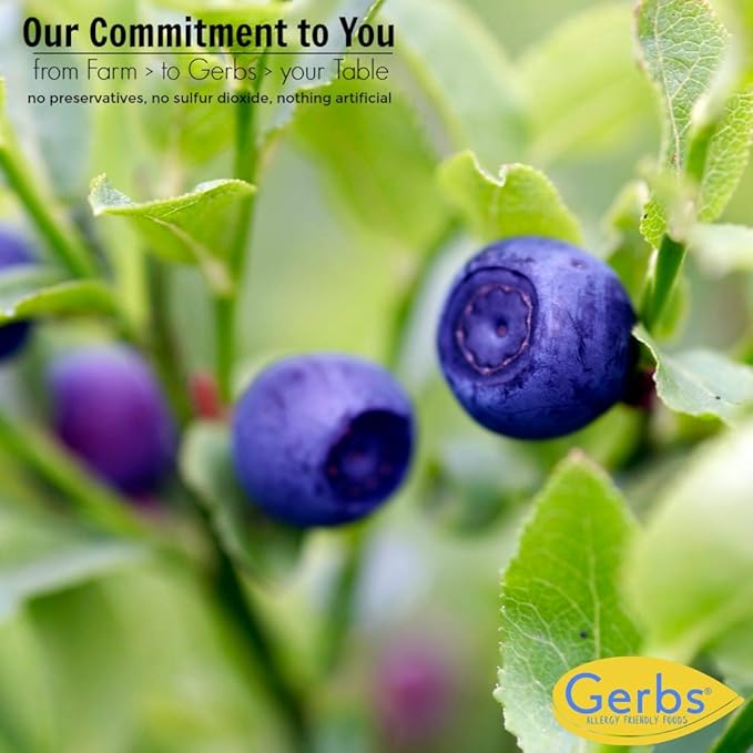 Gerbs Dried Blueberries 2 lbs. | Unsulfured, No Additives, Resealable Bag | Naturally Sweet & Tart