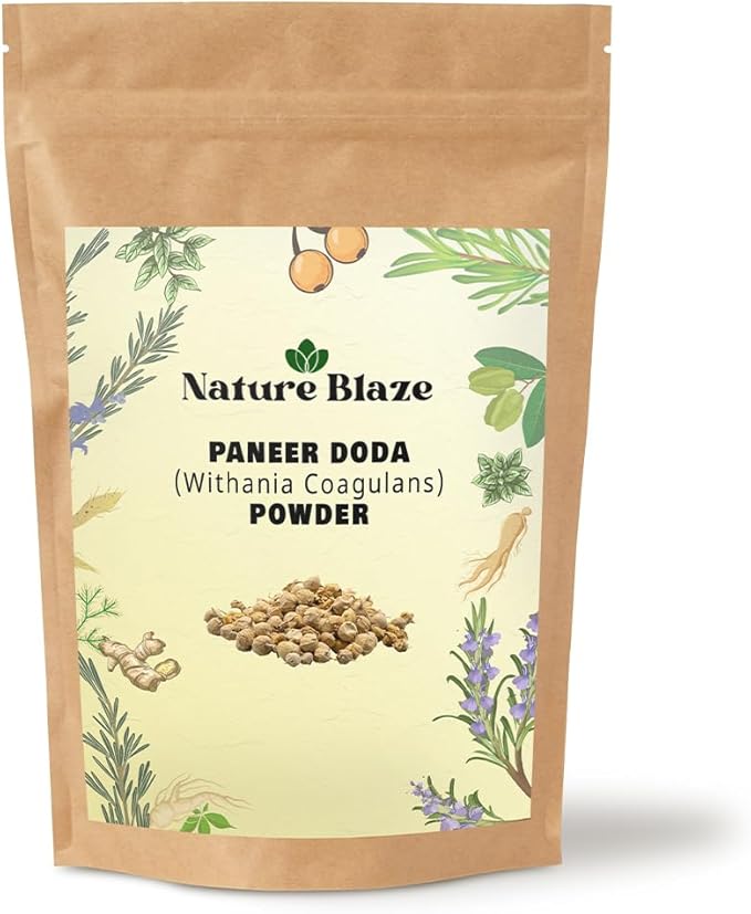 Nature Blaze Ayurveda Paneer Phool | Paneer Doda/DODI | Withania Coagulans Powder 4 Oz (114Gm /