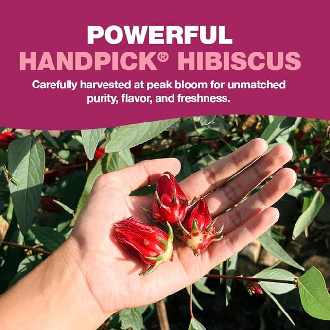 HANDPICK, Organic Hibiscus Tea Bags (100 Tea Bags) | Caffeine-Free, 100% Natural Pure Indian