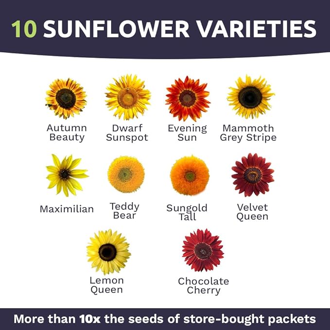SWEET YARDS Sunflower Variety Mix 10 Types of Beautiful Sunflowers - Bulk 1 Ounce Packet - Open