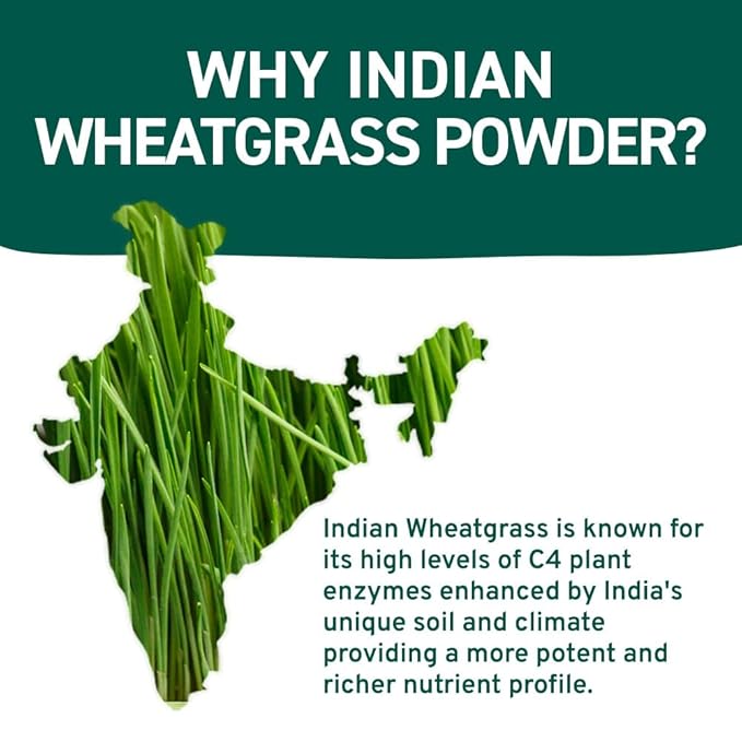 HANDPICK USDA Organic Wheatgrass Powder (10oz) Rich Green Powder - Lab Tested | 100% Whole Leaf |