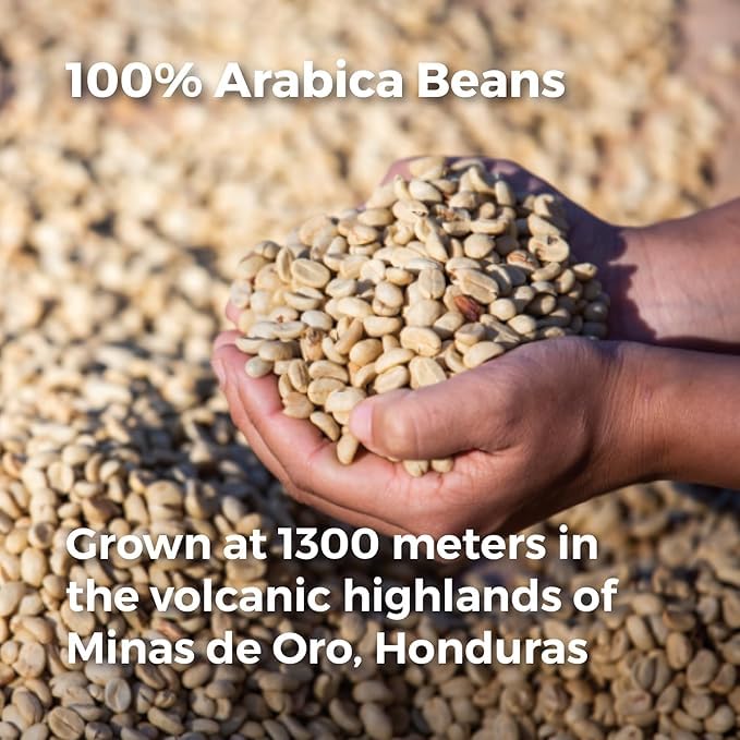 Don Memo Honduras Single-Origin Dark Roast Coffee Beans ??Low Acid, Shade-Grown Arabica (Whole