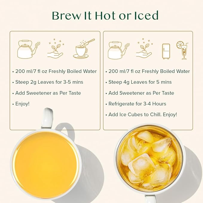 VAHDAM, Citrus Ginger Herbal Tea Tisane (50 Cups, 3.53 oz) Gluten Free, Non GMO | Ginger
