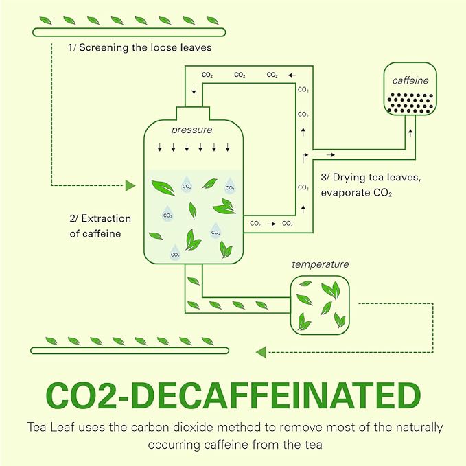 WT WEETEE Lemon Ginger Decaf Green Tea Bags 50 Counts, Made of Decaffeinated Green Tea, Ginger &