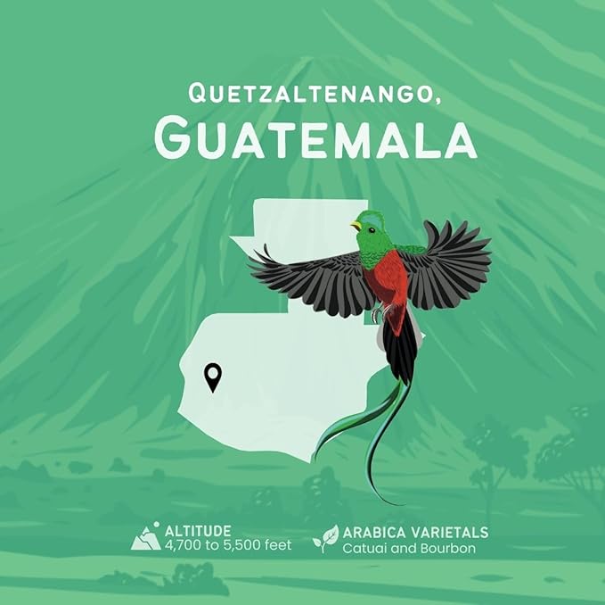 Canopy Point Coffee - Guatemala Medium Roast - 5lb Bag, Freshly Ground, Specialty Small Batch Air