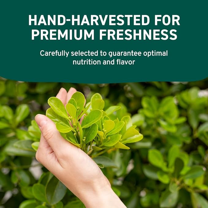 HANDPICK USDA Organic Moringa Powder (397g/14oz) Pure Moringa Oleifera Leaf Powder | Authentic