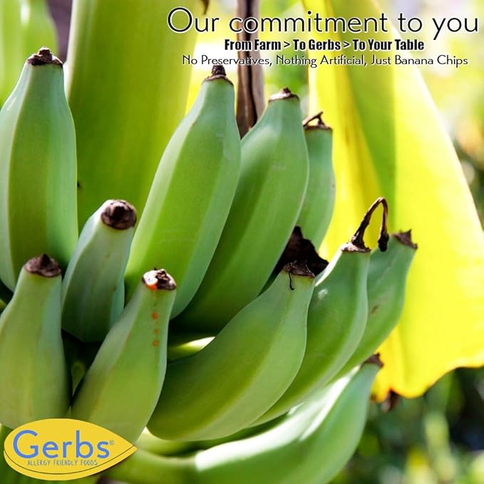 Gerbs Banana Chips Sweetened, 2 LBS – Unsulfured & Preservative Free - Top 14 Allergy Friendly &