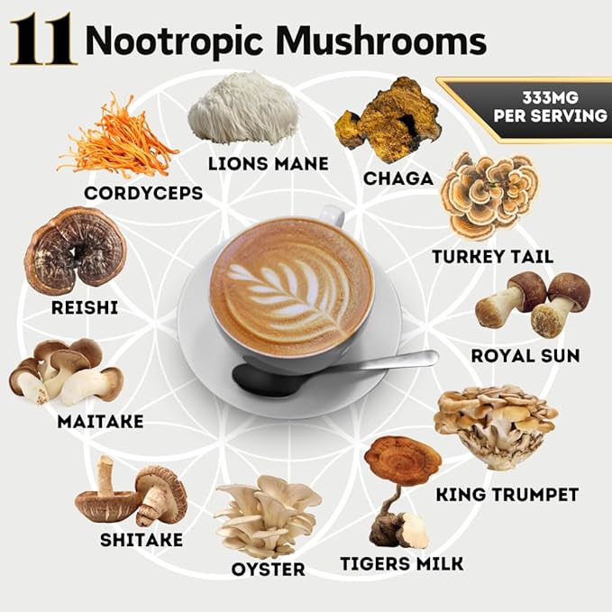 Organic Mushroom Coffee with Cacao ??11x Adaptogenic Mushrooms for Focus, Clarity & Energy