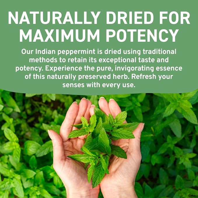 HANDPICK, Peppermint Tea, Eco-Conscious Tea Bags - 100 Count | Caffeine Free, Non-GMO | Minty