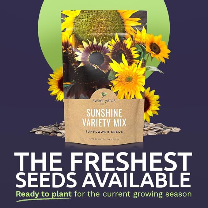 Bulk Sunflower Seeds - Variety Mix 10 Types of Beautiful Sunflowers - 1/4 Pound Bag Open Pollinated