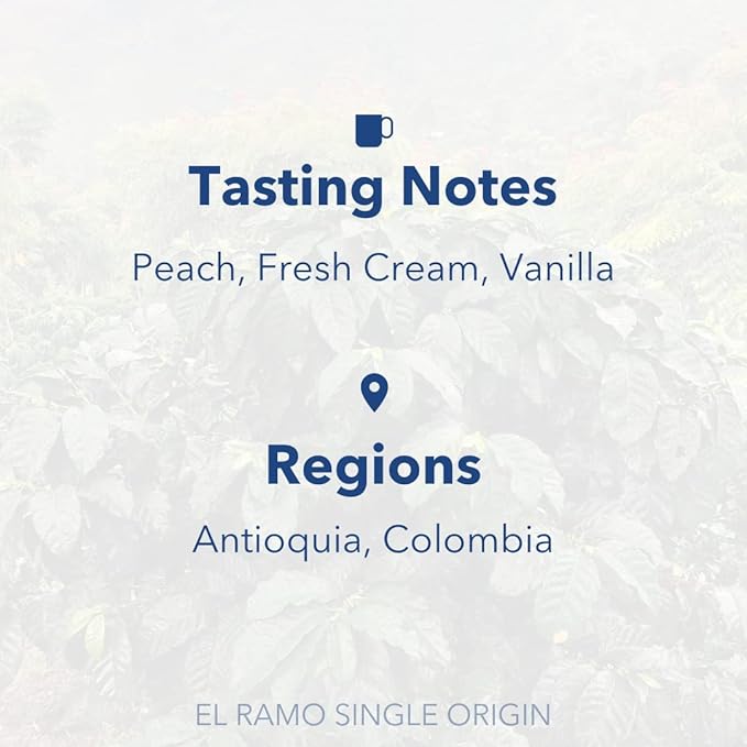 PARTNERS COFFEE ROASTERS - Whole Bean Coffee (El Ramo - Colombian, Light Roast) 12oz - Sweet