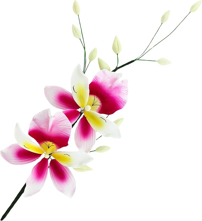 Global Sugar Art Double Orchid Spray Sugar Cake Flowers, Dark Pink & Yellow, 1 Count by Chef Alan