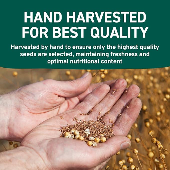 HANDPICK Flax Seed (2 lb) | Gluten Free Brown Seeds | Raw Seeds Sourced from India | Grinds easily