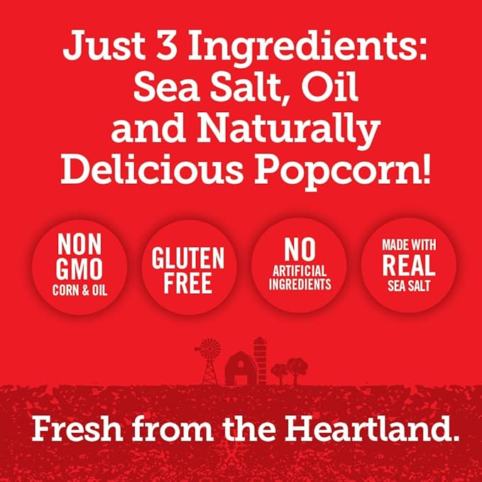 Popcorn Indiana Sea Salt Popcorn - Family Count - 4.75 Oz (Pack of 12)