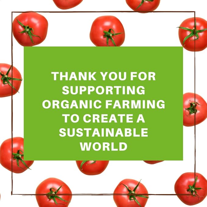 Berrilys Organic Sun-Dried Tomatoes, Salted, No Sulfur, No Preservatives, Kosher, Raw, Non-GMO