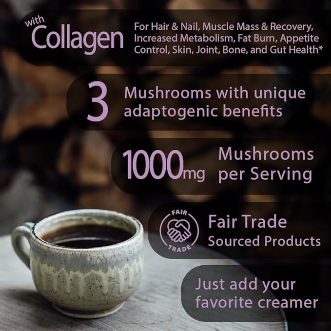 Focus Boost Organic mushroom Instant Coffee - 10 x 9g Packets - Healthy Coffee alternative and