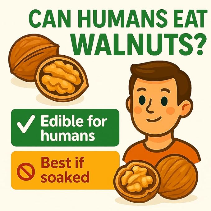 Crazy Nuts | California Grown Whole Walnuts In Shell, 1lb | Raw Walnuts Whole Bulk, Nuts in Shells