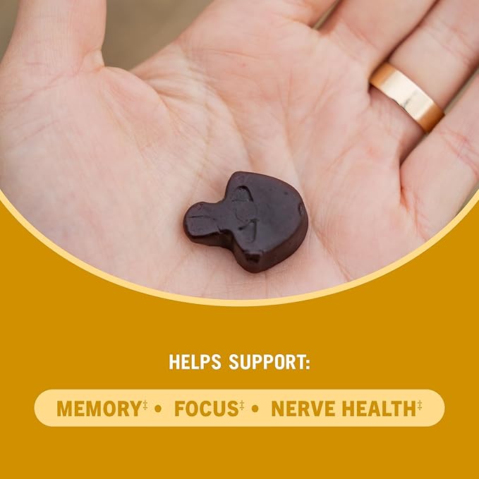 OM Mushroom Superfood Lion's Mane Gummies, 60 Count, 30 Servings, USA Grown Organic Mushrooms