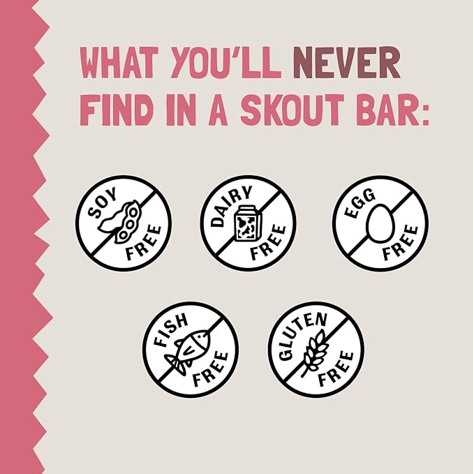 Skout Organic Real Food Bars for Kids Fruit Variety Pack (18 Pack) | Organic Snacks for Kids |