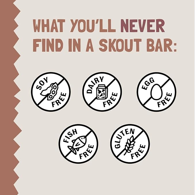 Skout Organic Chocolate Brownie Kids Snack Bars (18 Pack) | Organic Kids Snack Bars | School Snacks