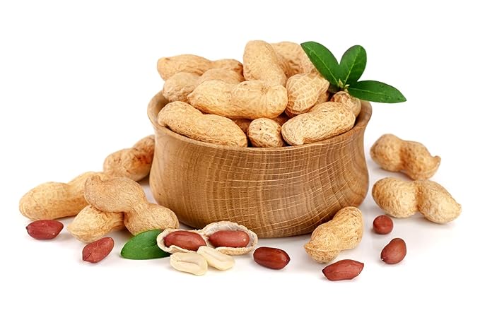 Fruidles Raw Peanuts, Raw Peanuts in Shell, Great for Boiling, Squirrels Feed, Birds Feed and
