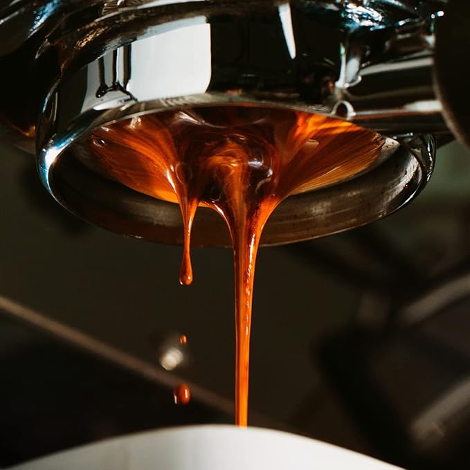 Bristot Rainforest Alliance Certified Coffee Beans ??Medium Roast Italian Espresso ??Whole Bean