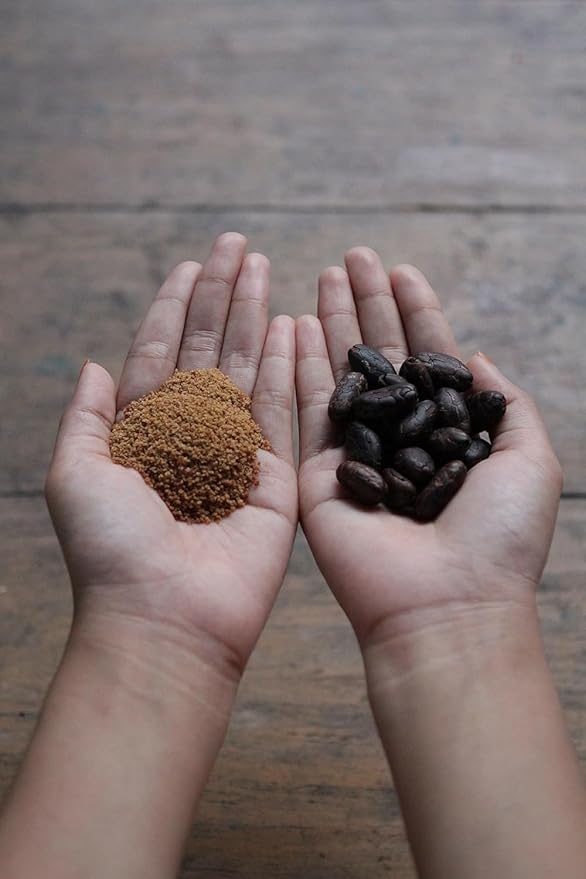 Big Tree Farms Organic Brown Coconut Sugar - Coconut Palm Sugar, Unrefined, Fine Crystals, Cane
