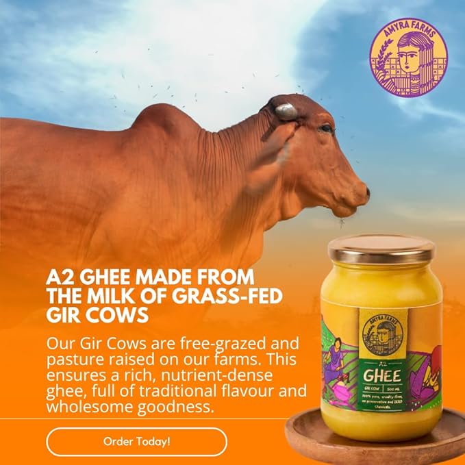 Amyra Farms Organic A2 Ghee - 1 Pound | Grass-Fed Gir Cow Ghee, Handcrafted Bilona, Pure &