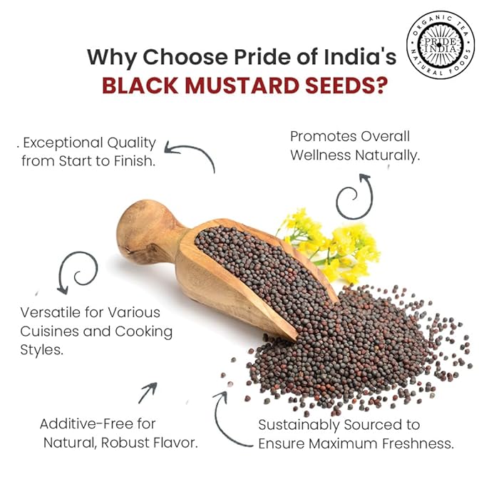 Pride of India – Black Mustard Seed – Gourmet & Vegan Indian Spice – Pungent/Spicy Flavor – Dry